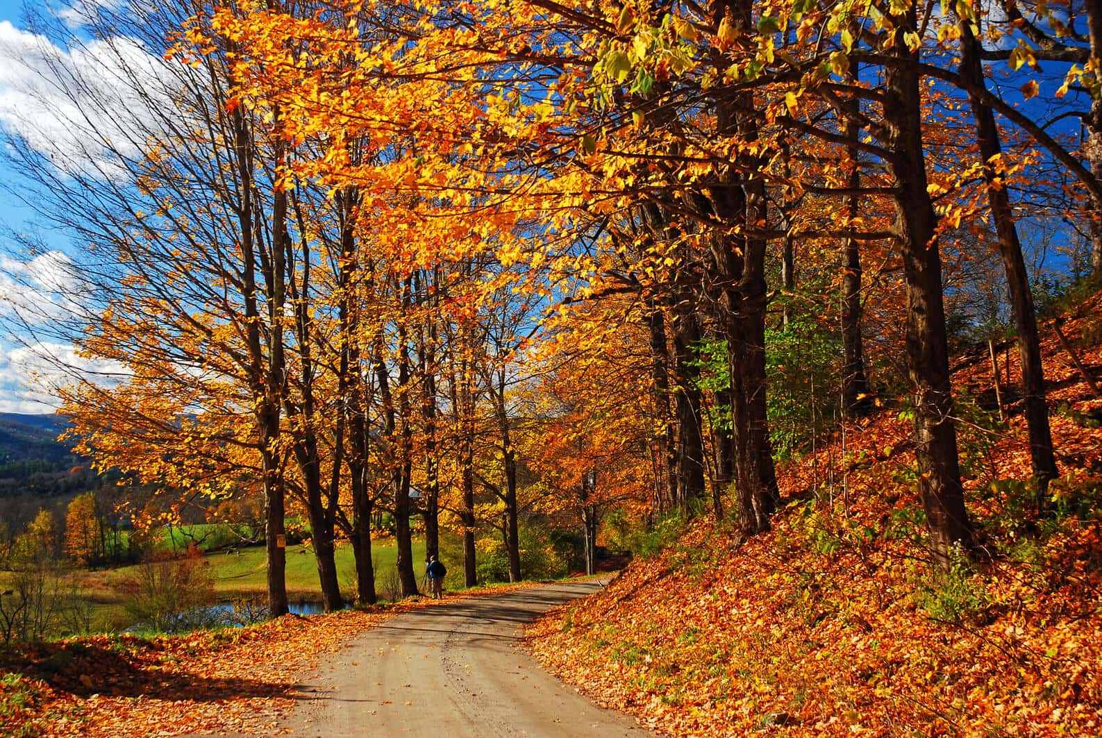 Fall Foliage Tour Historic Hudson Valley Exclusive Vacations